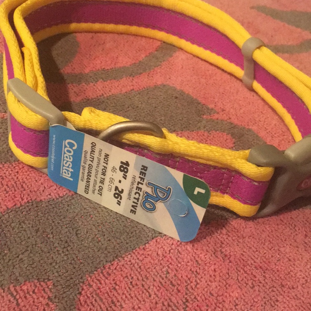 Never used dog collar